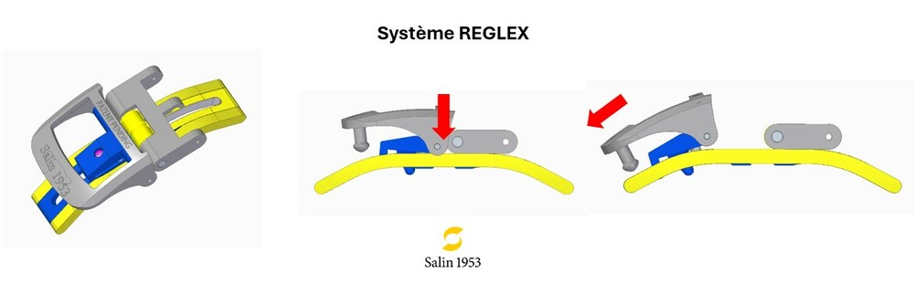 Système REGLEX