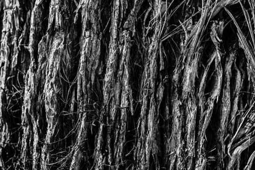 XECARB® – Collection of Carbon Fibre Reinforced Thermoplastic Composites