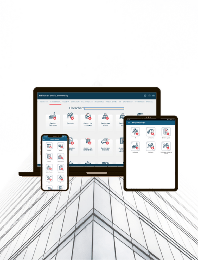 Logiciel de gestion pour entreprises
