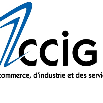 CCIG - CHAMBRE DE COMMERCE, D'INDUSTRIE ET DES SERVICES DE GENEVE