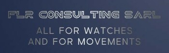 FLR CONSULTING SARL