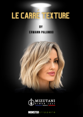 💇♀️ Workshow Mizutani par Erwann Palumbo