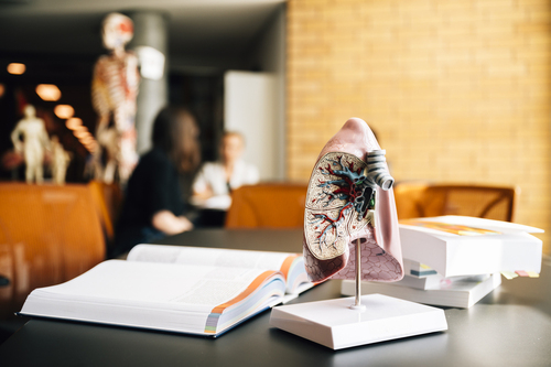 La recherche en santé à L'UQAT