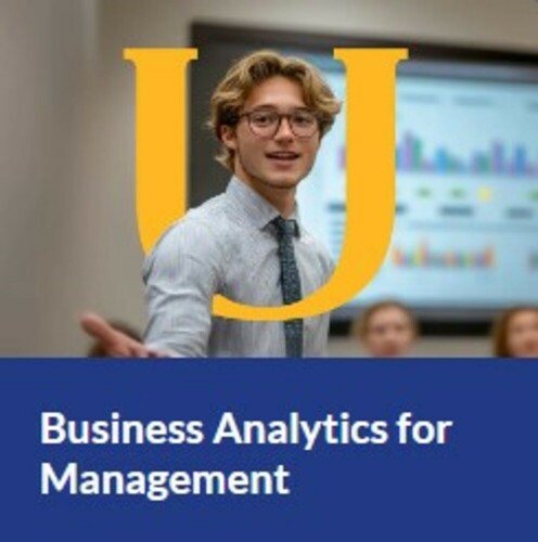 Bachelor Degree in Business Analytics for Management
