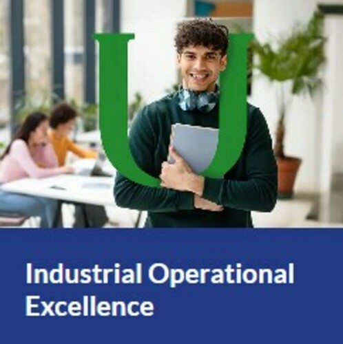 Bachelor Degree in Management Engineering