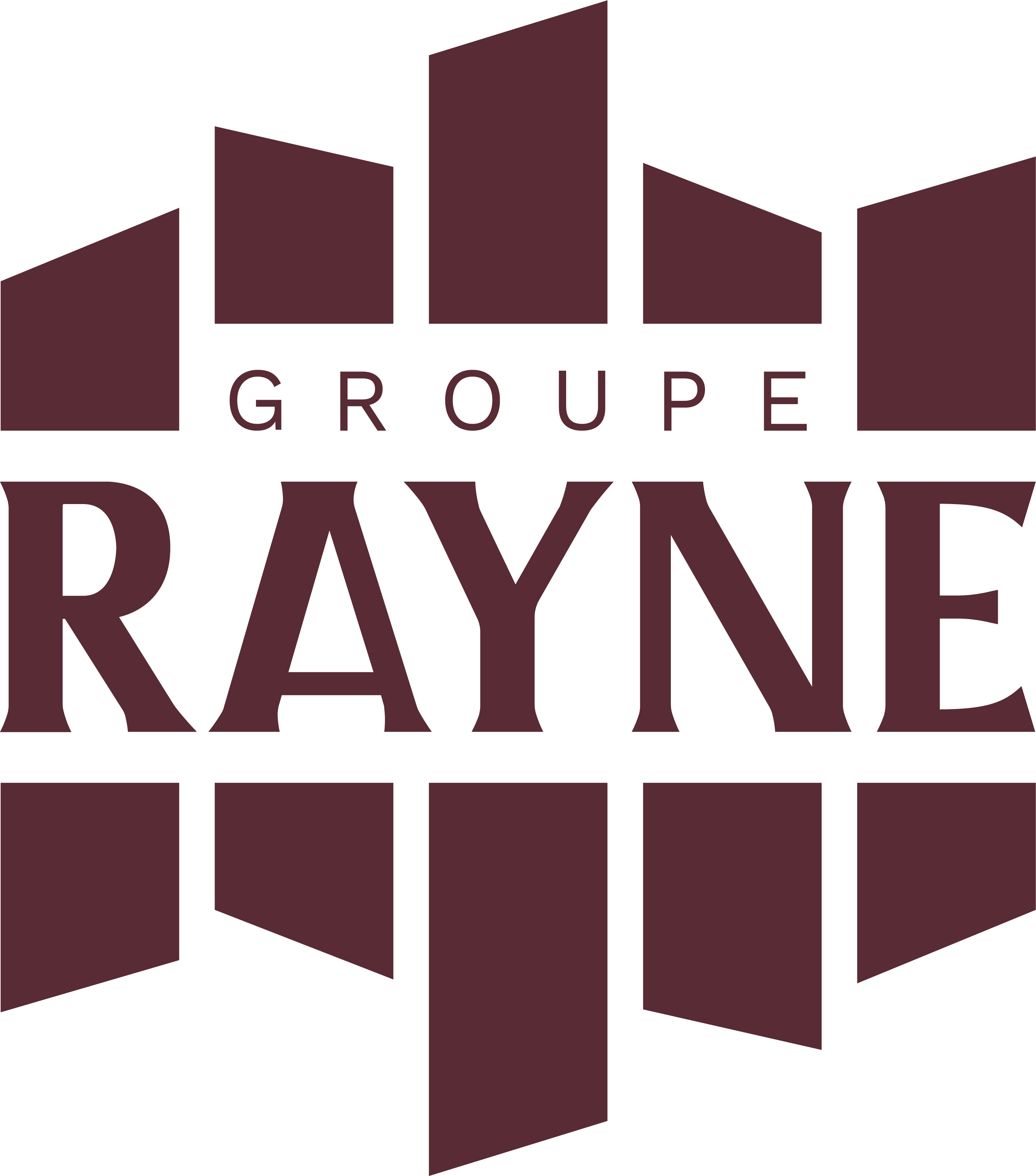 GROUPE RAYNE