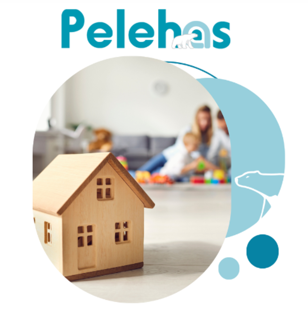 Le logiciel interfacé en temps réel avec le SNE