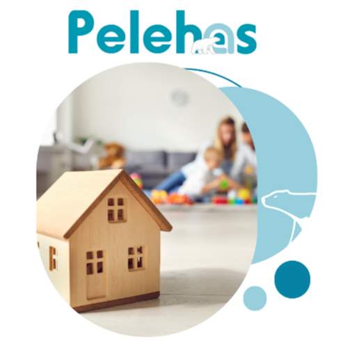 Le logiciel interfacé en temps réel avec le SNE