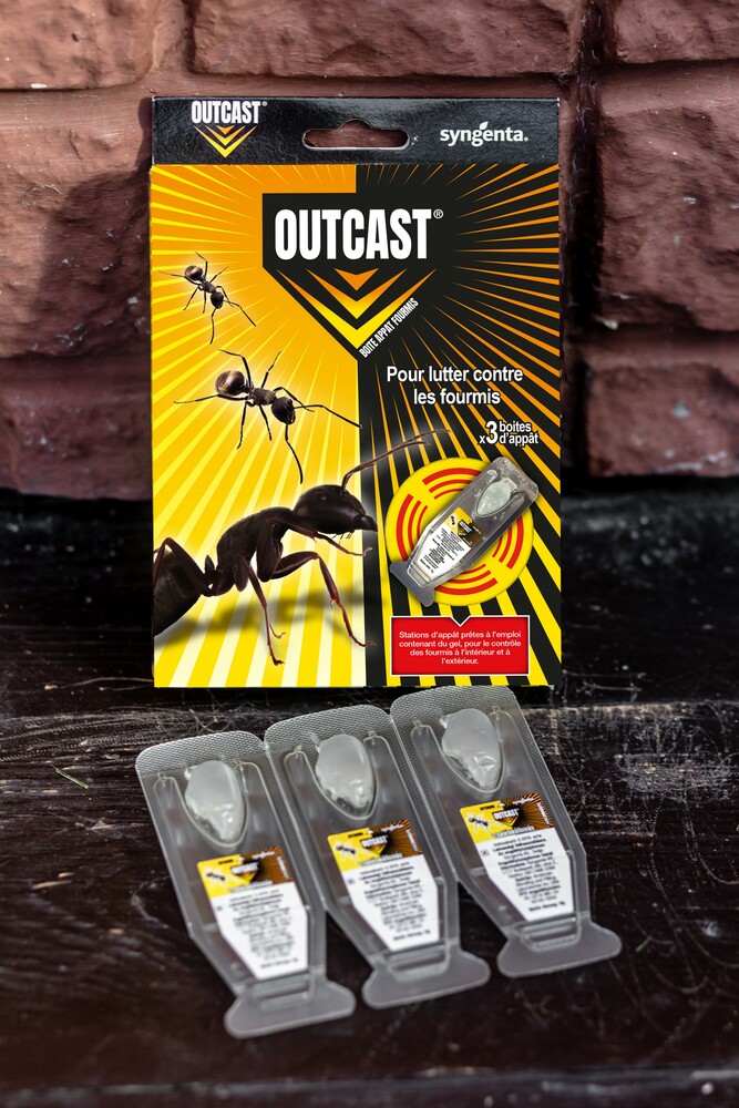Outcast® Fourmis