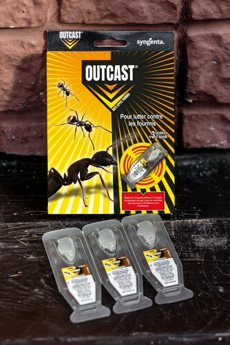 Outcast® Fourmis