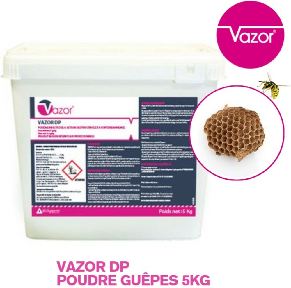 VAZOR® DP POUDRE GUÊPES FRELONS SEAUX DE 5KG