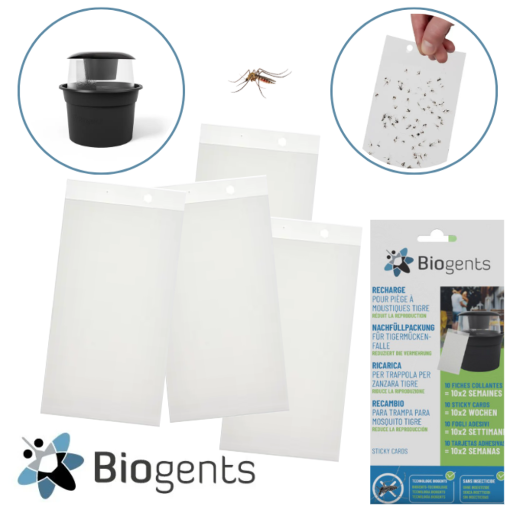 BIOGENTS PLAQUES DE GLU/STICKY CARDS BG-GAT (x10)