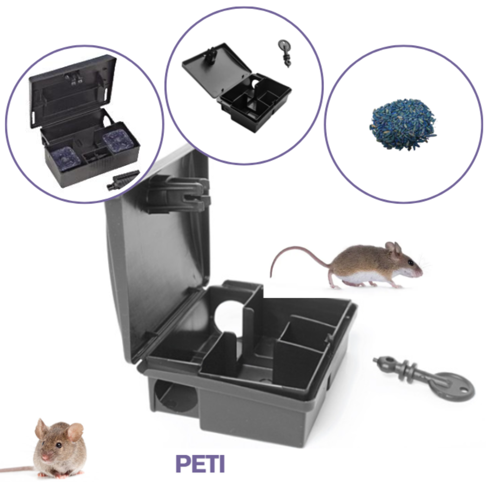 PETI POSTE SOURIS SÉCURISÉS (x72)