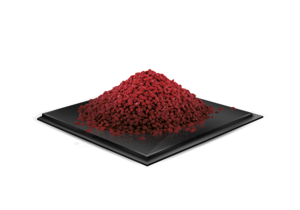 GENERATION GRAIN' TECH