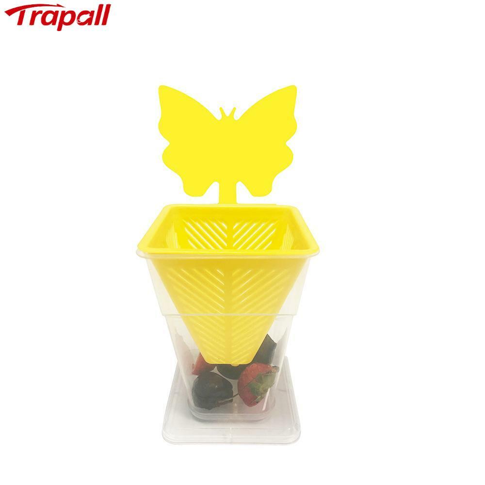 Home Kitchen Reusable Plastic Insects Bug Catcher Fruit Fly Live Catch Trap with Sticky Card
