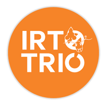 Irto Trio