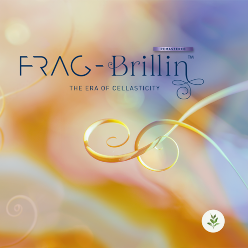 Frag-Brillin remastered™