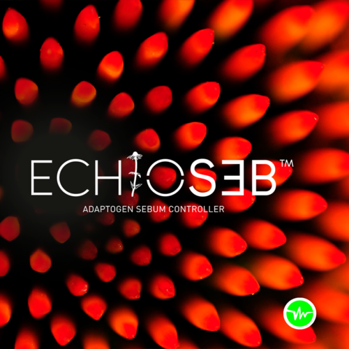 Echioseb™