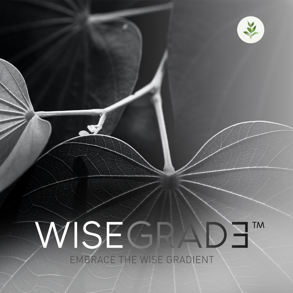 Wisegrade™