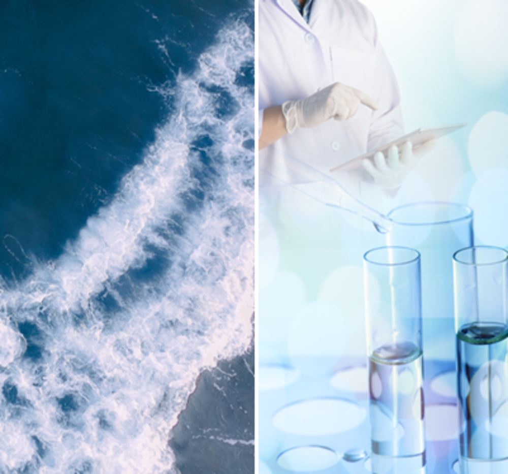 Empowered by the Ocean