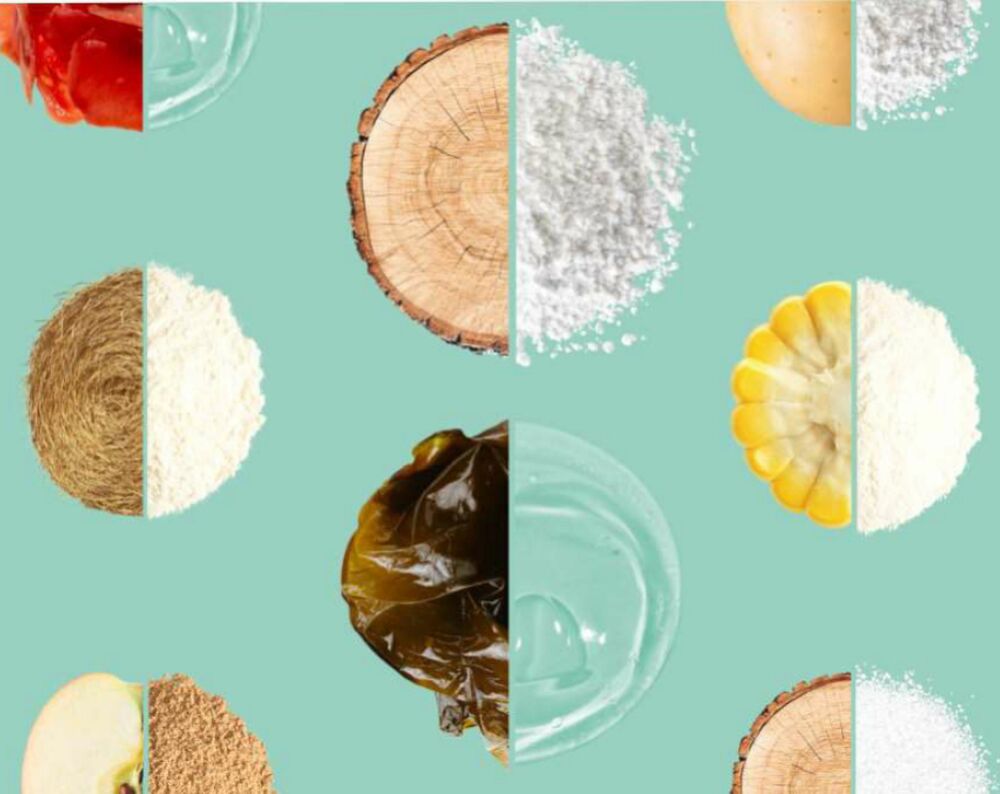 Flyer Ingrédients cosmétique JRS