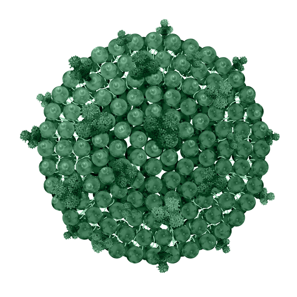 Biomimetic exosome-like