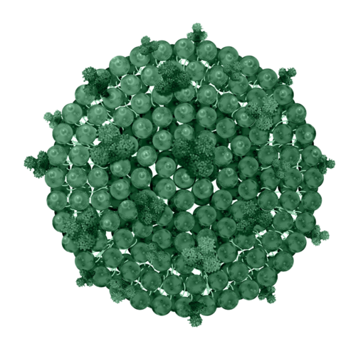 Biomimetic exosome-like