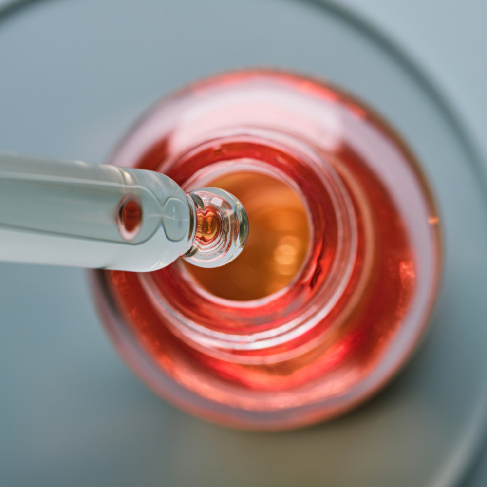 Tolérance & Toxicologie in vitro