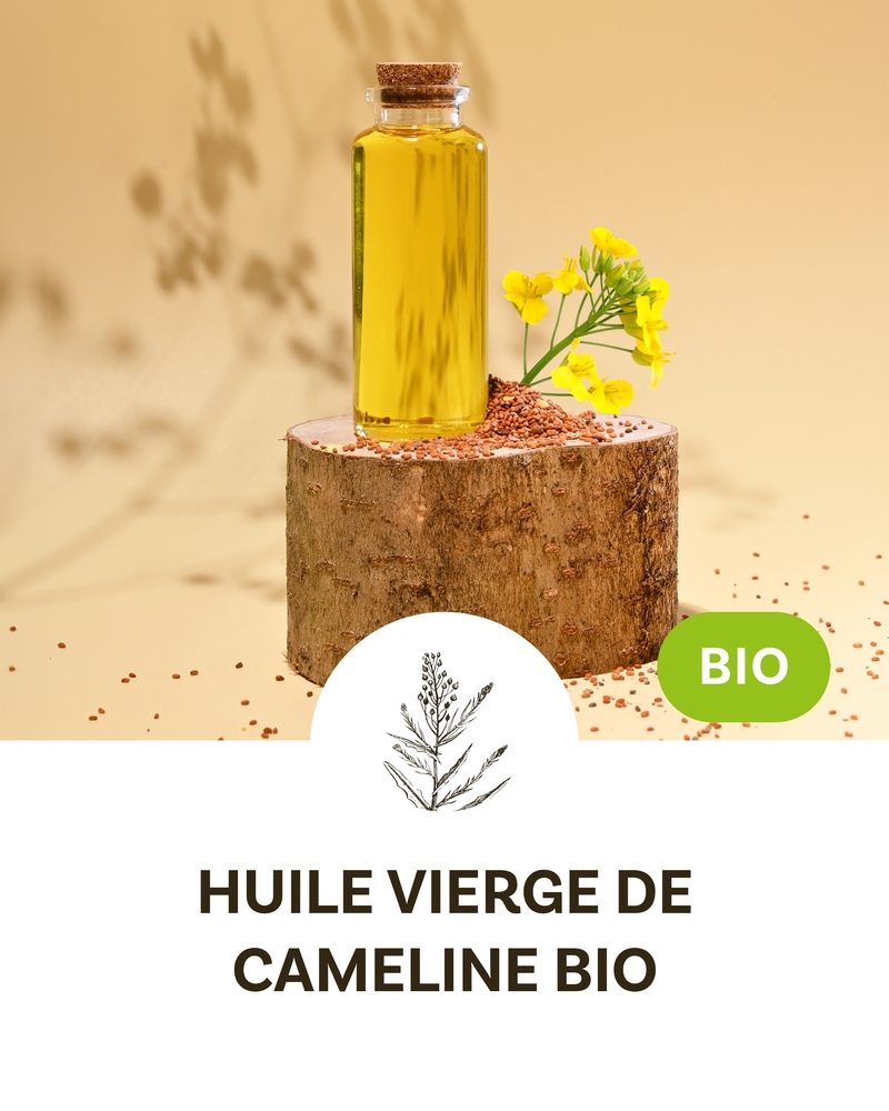 Huile vierge de Cameline BIO