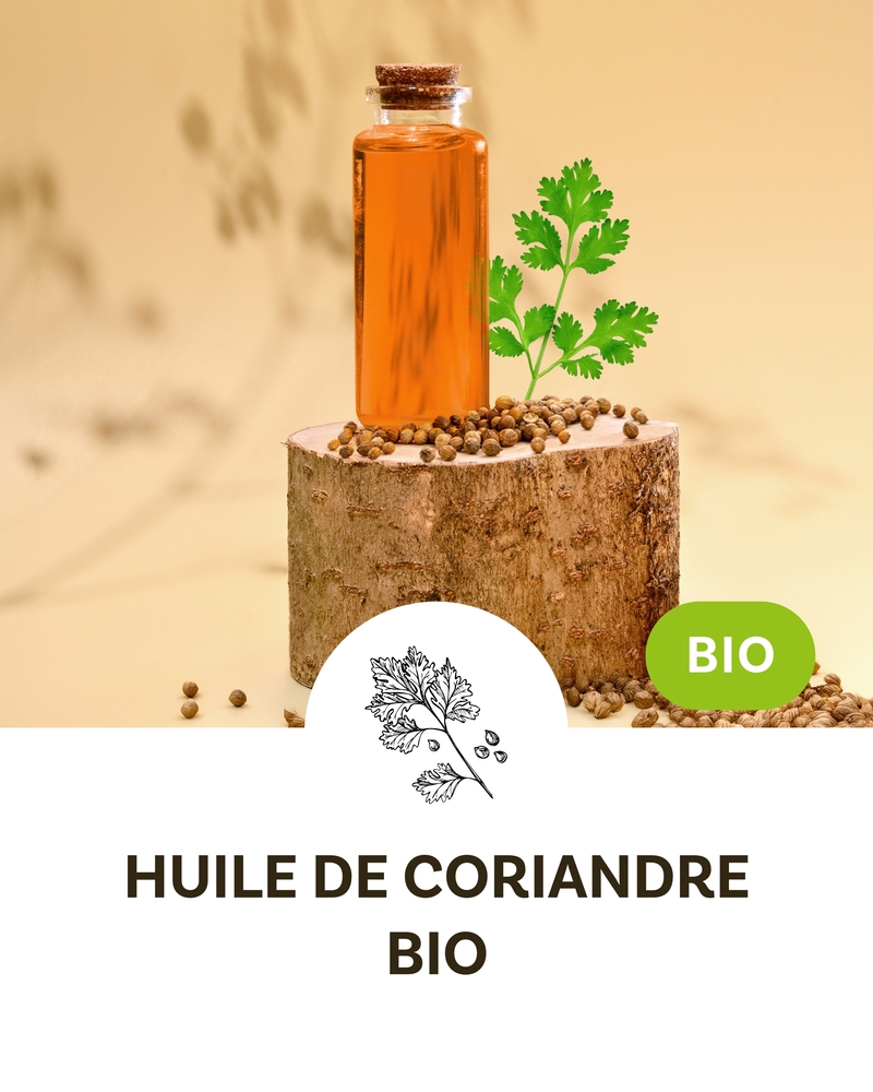 Huile vierge de Coriandre BIO  NOUVEAUTE