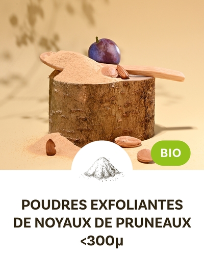 Plum kernel scrub powder <50 mesh (<300 µm)