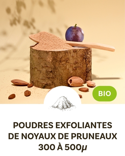 Plum kernel scrub powder 35-50 mesh (300-500 µm)