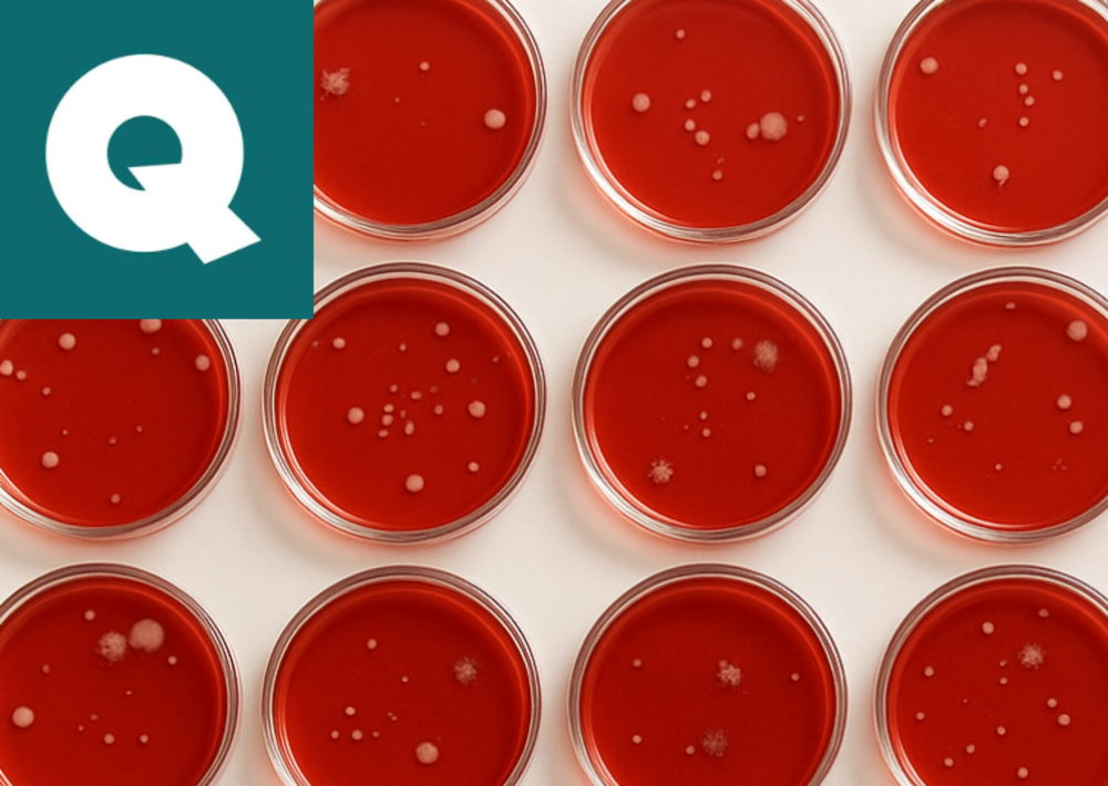 Preservative Challenge Testing for Cosmetics