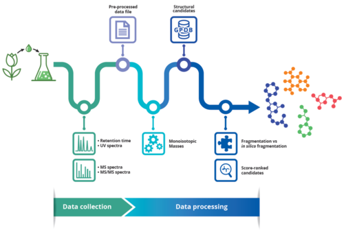 GAINS: Greenpharma Automated Identification of Natural Structures