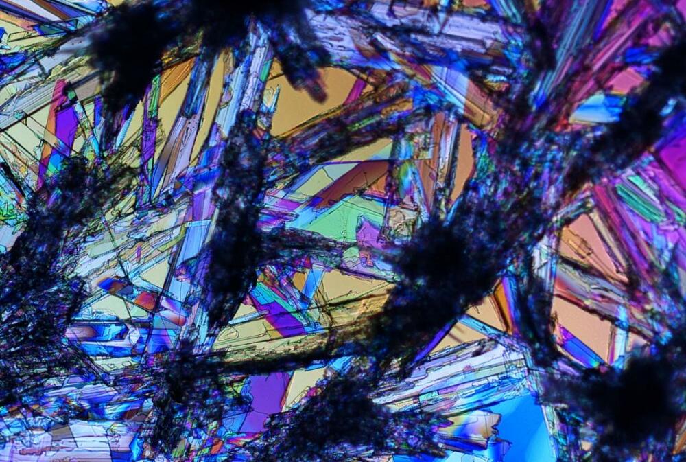 CARNOT I2C _ SOLID STATE GALENICS IN COSMETICS