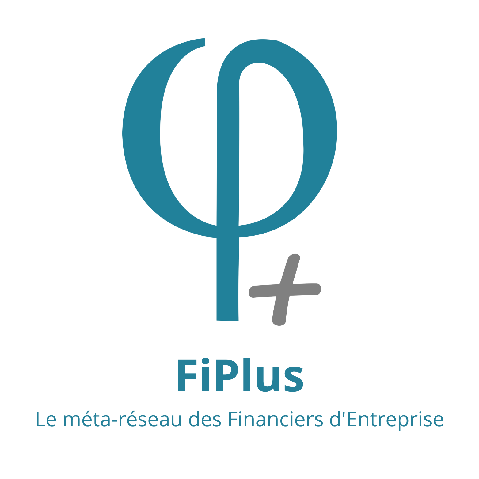 FIPLUS