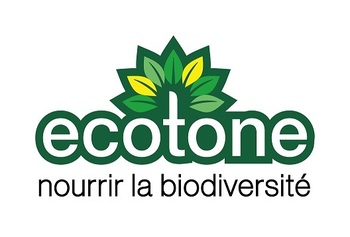 ECOTONE