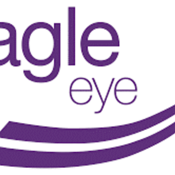 damien.authier@eagleeye.com