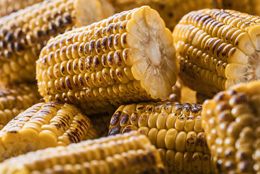 DEMI EPIS DE MAÏS GRILLE - 170371 -