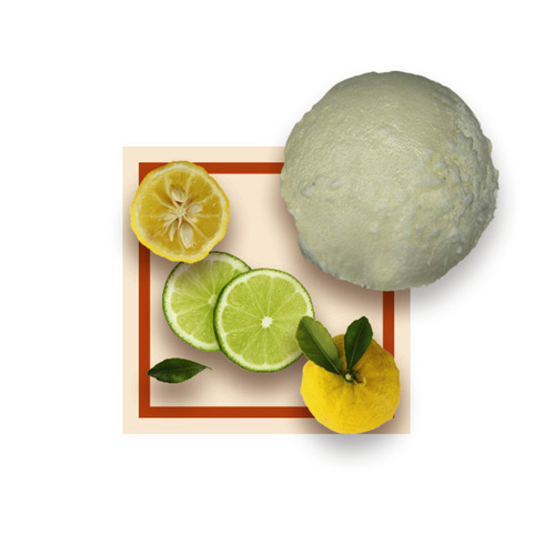 Sorbet yuzu citron vert 2,5Lx8 GDA - 299267 -
