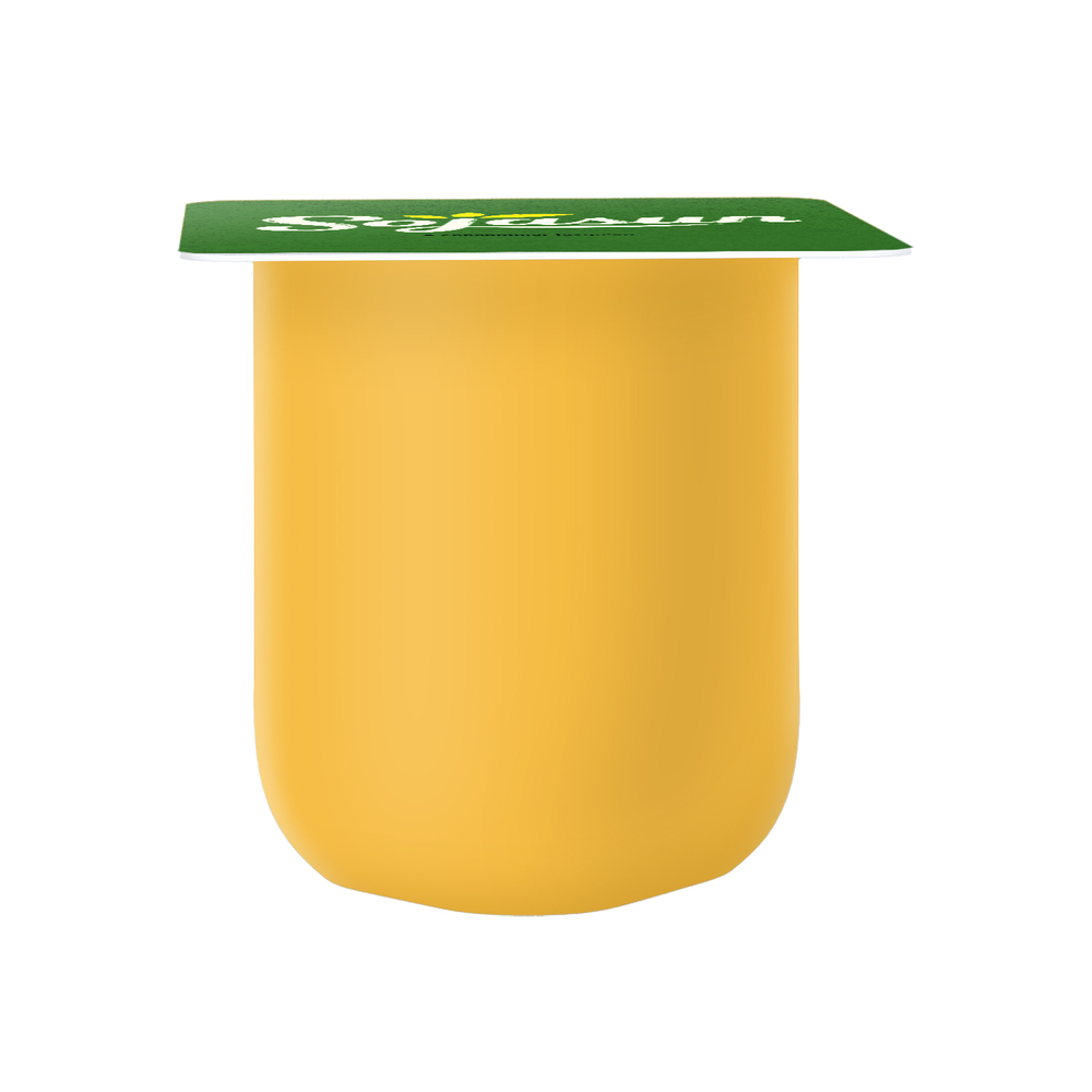 Sojasun vanille bio 100 g Veggie | 314212