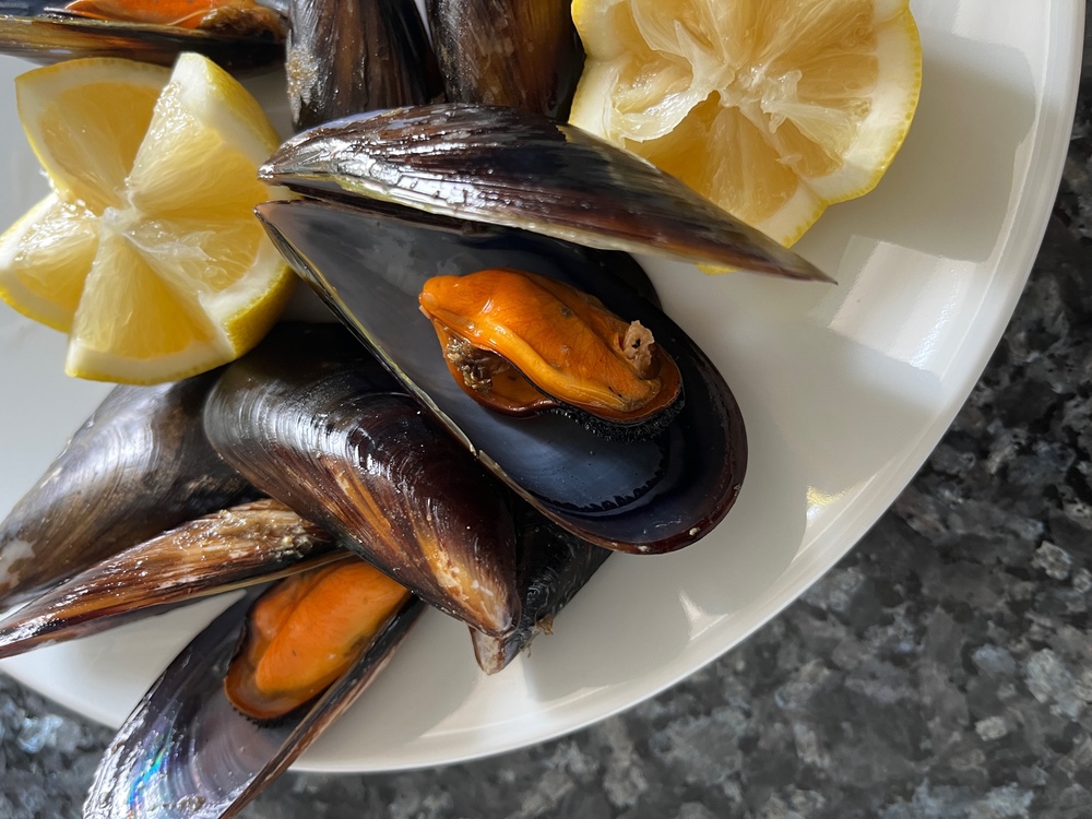 Moule d'Espagne