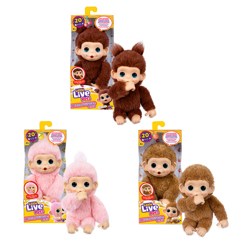 Little Live Pets Baby Monkey Minis