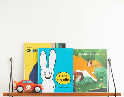 les Albums de l'école des loisirs