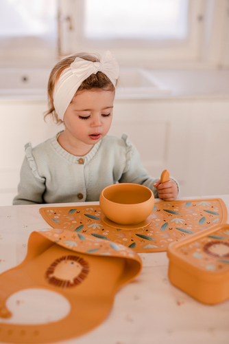 Lifestyle Gourdes, Lunchboxes