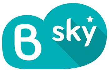 B SKY INTERNATIONAL LTD