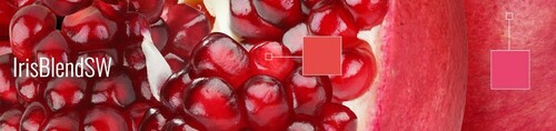 Logiciel IrisBlendSW