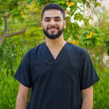 Ahmed Abdalghany Khalifa