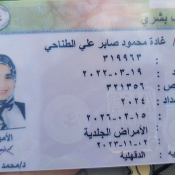 Ghada Mahmoud saber eltanahy