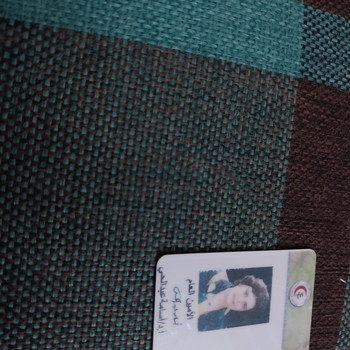 Marsel fayek Magdallah